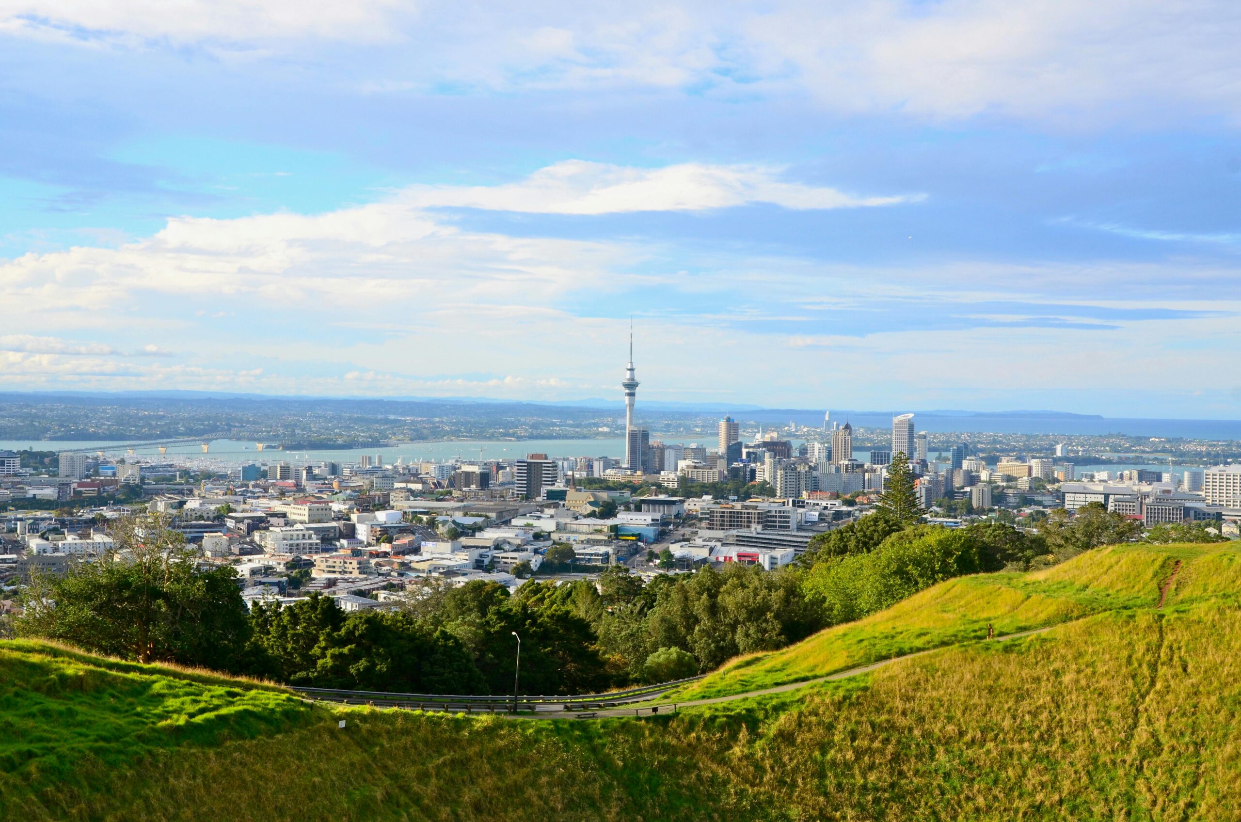 Stunning view of Auckland cityscape with Sky Tower and lush hills under a clear sky.